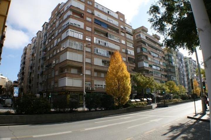 LOCAL EN CALLE SOL photo 0