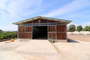 Terreno hipica en Almenara photo 0