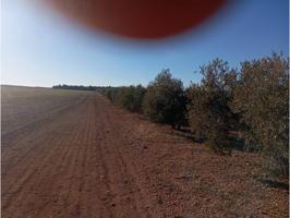 Venta de Finca de olivar photo 0