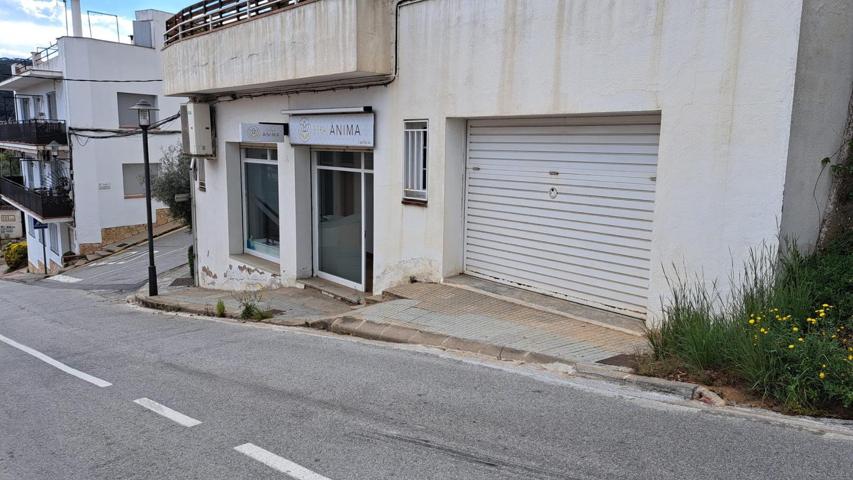 Local En alquiler en Sant Cebrià de Vallalta photo 0