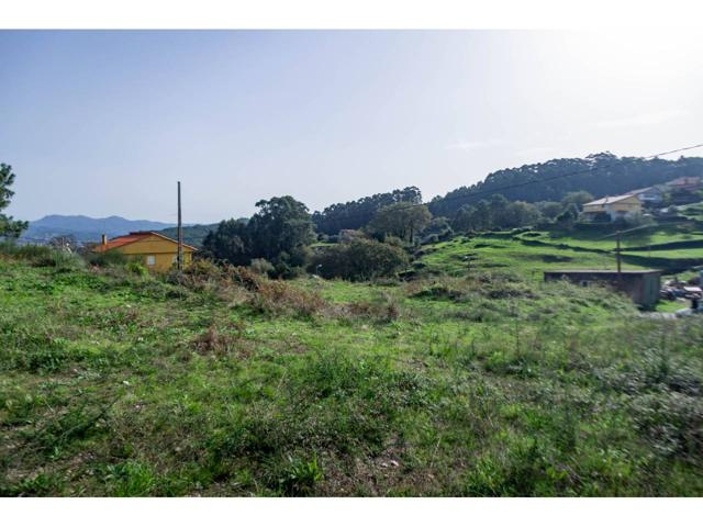 Cuatro chalets unifamiliares photo 0