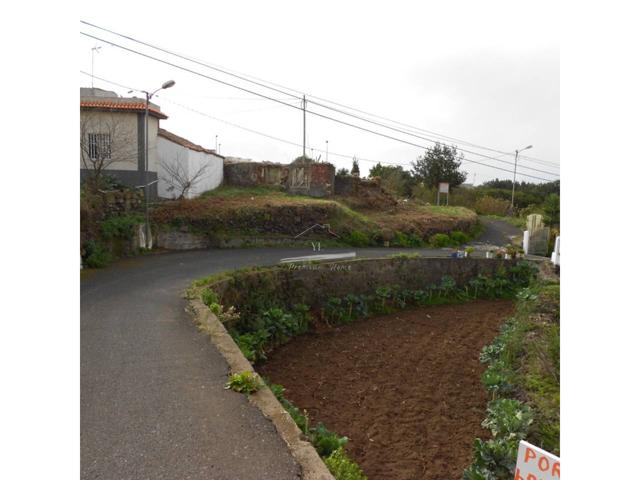 Parcela en Rui Gomez photo 0