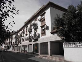 Local en la Zubia photo 0