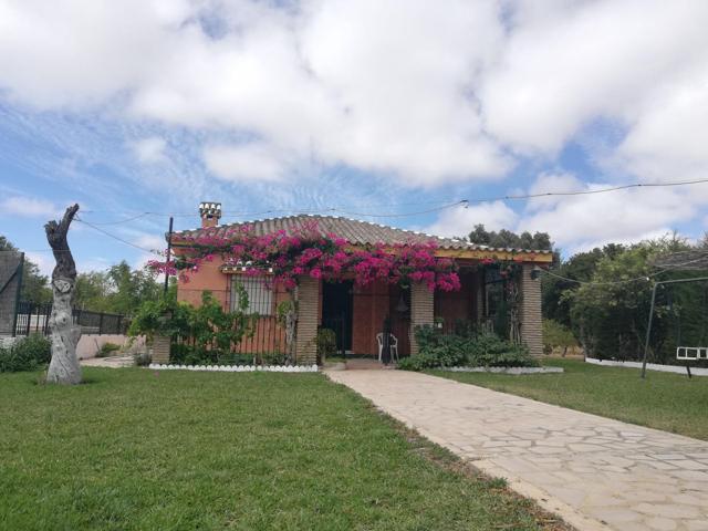 FINCA CON CHALET Y PISCINA , ZONA DEL MARQUESADO photo 0