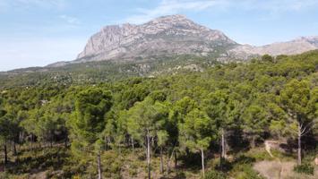 Terrenos Edificables En venta en Finestrat photo 0