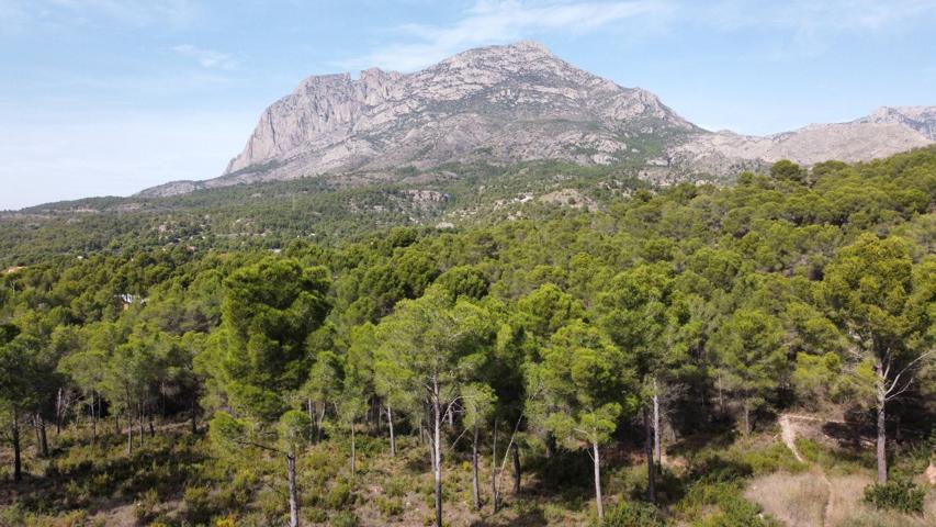 Terrenos Edificables En venta en Finestrat photo 0