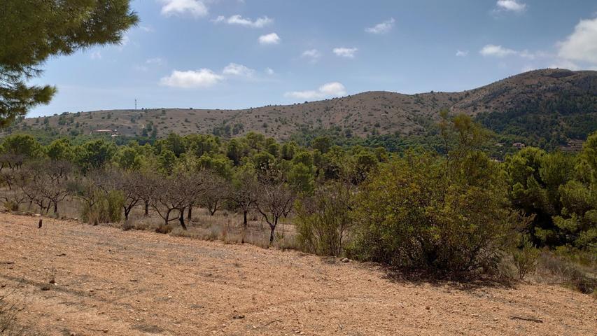 Terrenos Edificables En venta en Finestrat photo 0