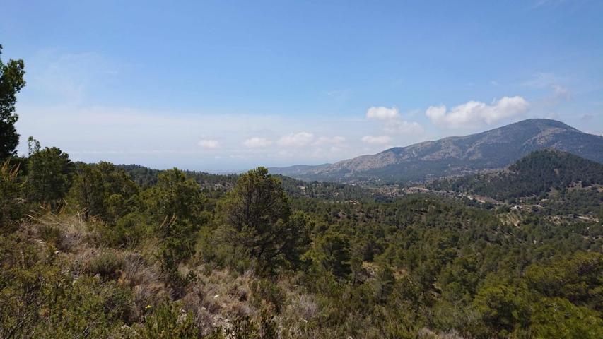 Terrenos Edificables En venta en Finestrat photo 0