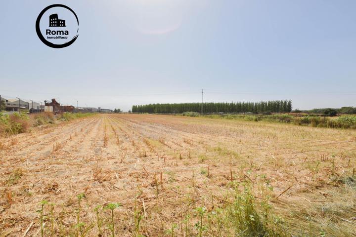 ¡Finca rústica de 4.785m² en Atarfe! photo 0
