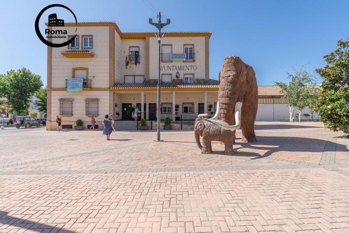 Casa En venta en Padul, Padul photo 0
