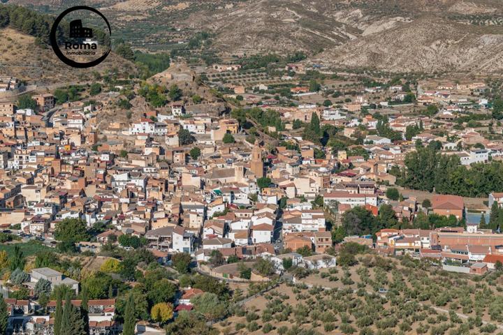 Casa De Campo En venta en Andalucia, La Peza photo 0