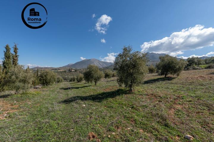 Terreno rústico en Cogollos Vega, con toma de luz y agua en la entrada photo 0