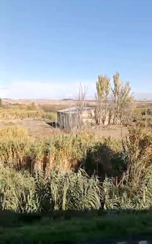 Terrenos Edificables En venta en Fontellas photo 0