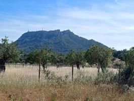 Terrenos Edificables En venta en Felanitx photo 0