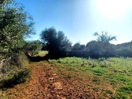 Terrenos Edificables En venta en Manacor photo 0