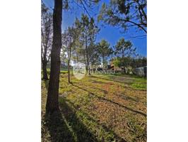 Terreno rústico en venta en Palmeira – Pinar de Carro 🌲 photo 0