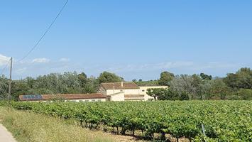 Masia - Vilobi del Penedès photo 0