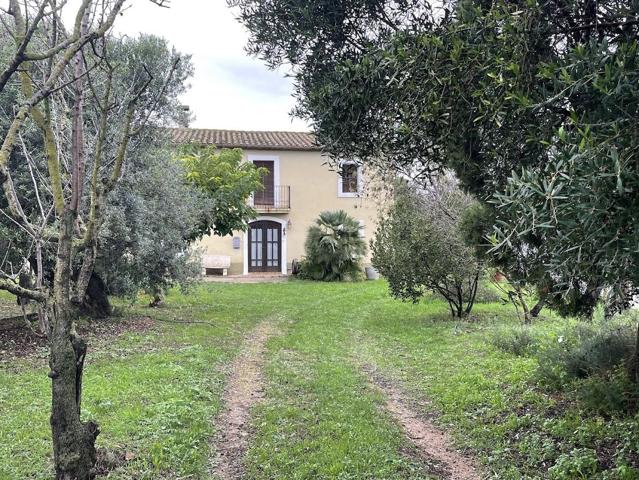 Masia - Pacs del Penedès photo 0