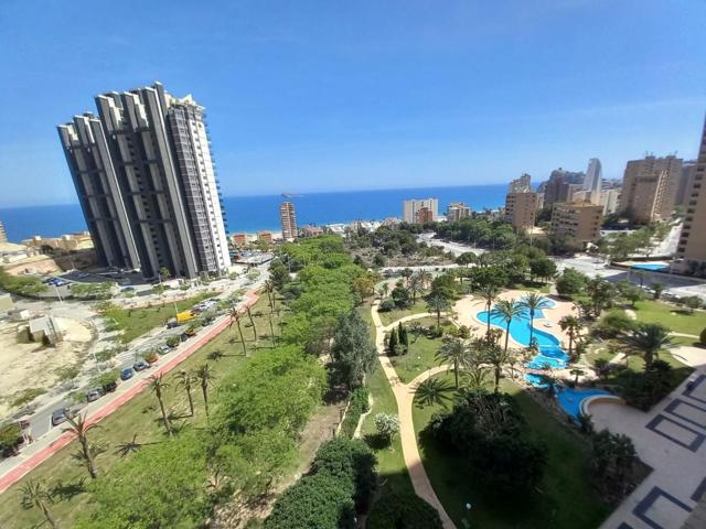 Piso En alquiler en Benidorm photo 0