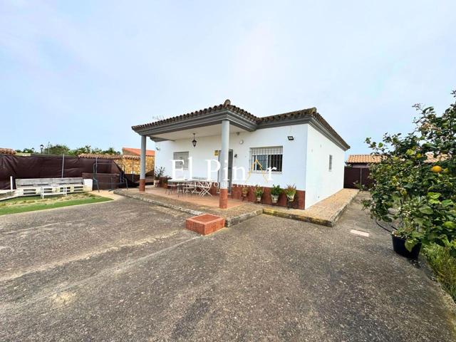 🌿 Parcela con vivienda en El Carpio Chico – Puerto Real photo 0
