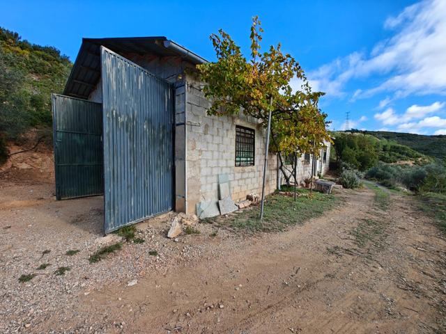 Casa de campo photo 0