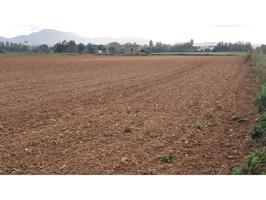 Se vende terreno en zona cami de son Moix sitio muy tranquilo photo 0