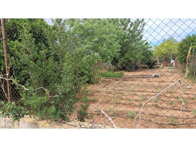 Se vende terreno en Zona Son Talent de Manacor. photo 0
