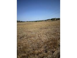 TERRENO EN SON MOIX, MANACOR photo 0