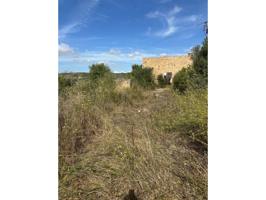 Se vende terreno de 15243m2 con casa  a 3 km de Manacor. photo 0