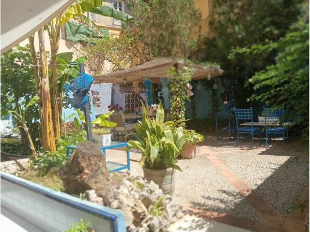 Planta Baja centro Manacor photo 0