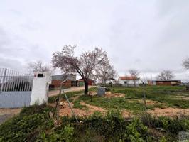 GB gestión inmobiliaria vende finca rústica en Consuegra, Toledo photo 0