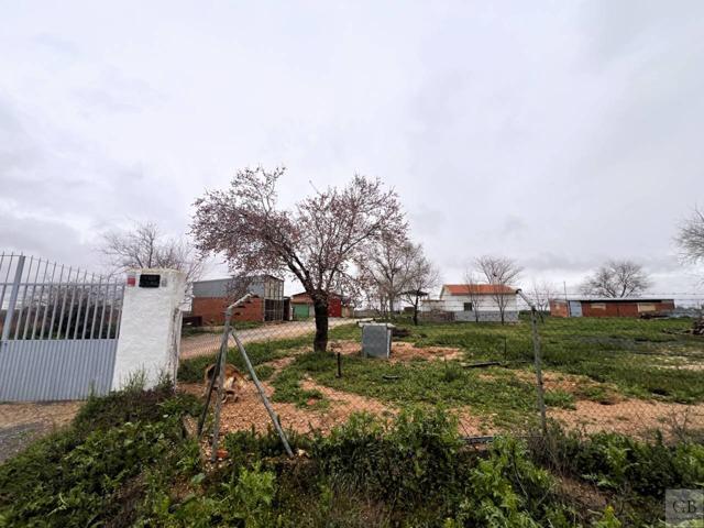GB gestión inmobiliaria vende finca rústica en Consuegra, Toledo photo 0