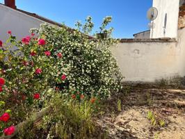 Casa o chalet en venta en Calle Manuel Arribas Carrillo, Villaviciosa de Córdoba, Córdoba photo 0