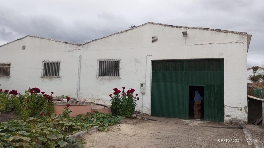 Venta nave industrial con terreno en Lucena photo 0
