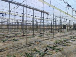 SE VENDE FINCA DE 10.500 M2 photo 0