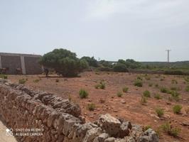 TERRENO URBANiZABLE ALAIOR- MENORCA 75 unidades photo 0