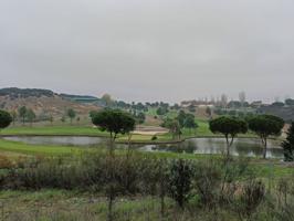 Suelo rústico en Venta en Cabanillas Del Campo Guadalajara photo 0