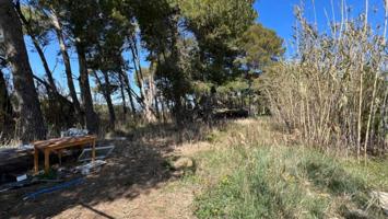 Suelo rústico en Venta en Estartit Girona photo 0