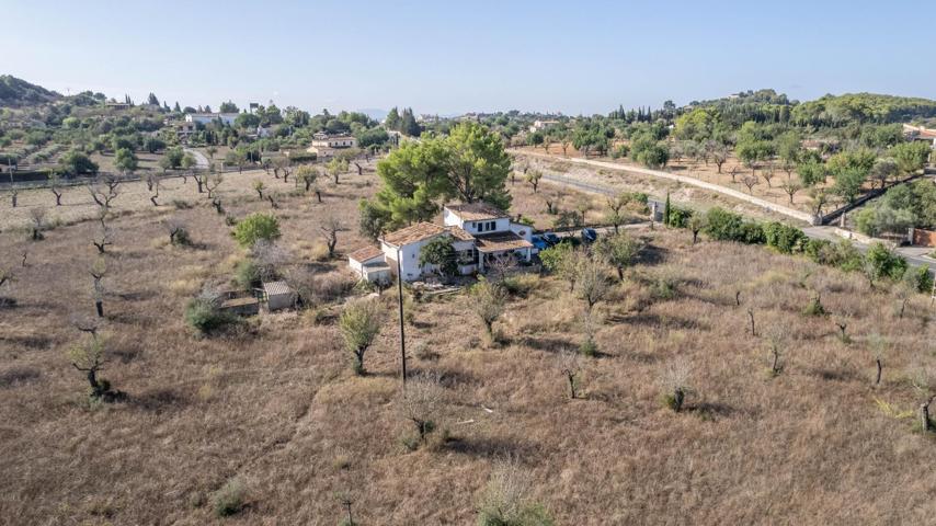 FINCA RÚSTICA LEGAL EN SELVA , 16.000 M2 photo 0