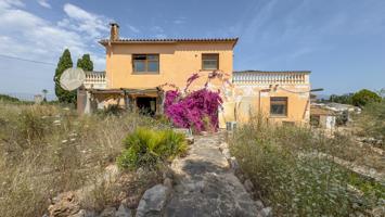 Finca en Sencelles photo 0
