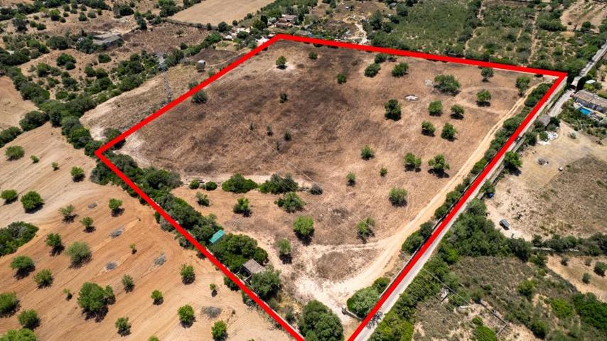 Terreno en venta en Llucmajor photo 0
