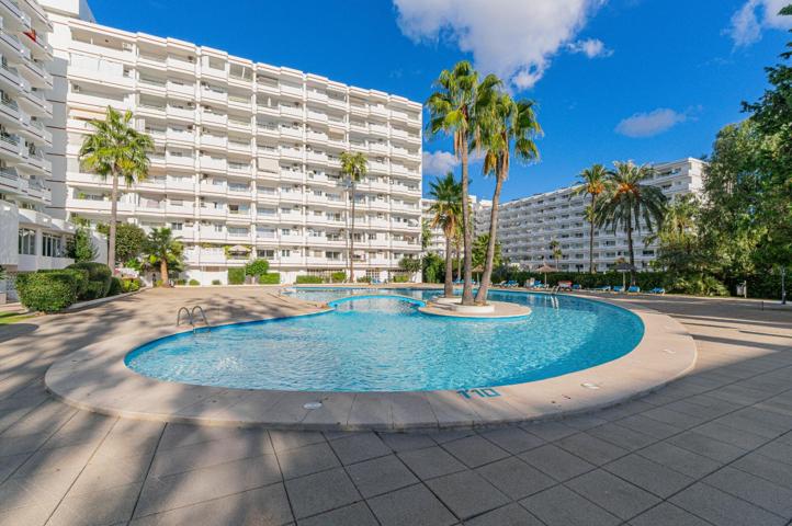 ESTUDIO REFORMADO EN SIESTA II photo 0