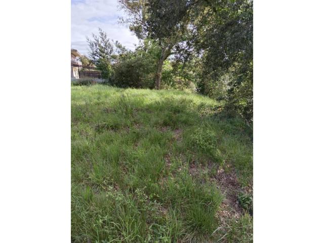 Terreno en venta en Santa Coloma de Farners photo 0