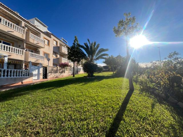 APARTAMENTO EN VENTA EN TORREVIEJA PARQUE AROMATICO photo 0