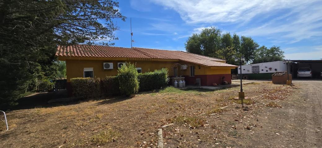 Casa En venta en Argamasilla de Calatrava photo 0