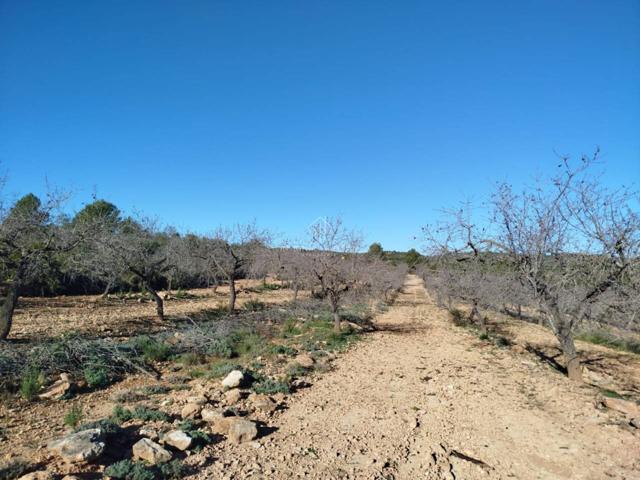 Venta de terreno en Vilanova d'Alcolea photo 0