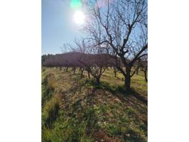 Terreno en venta en Alcalà de Xivert-Alcossebre photo 0