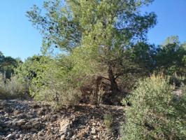 Venta de terreno en Vilanova d'Alcolea photo 0