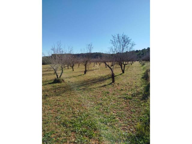 Venta de terreno en Torreblanca photo 0