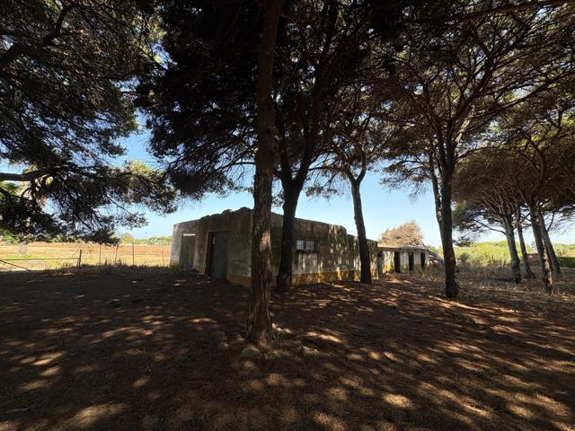 Agrícola En venta en Chiclana de la Frontera photo 0